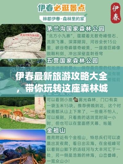 伊春最新旅游攻略大全,带你玩转这座森林城市!