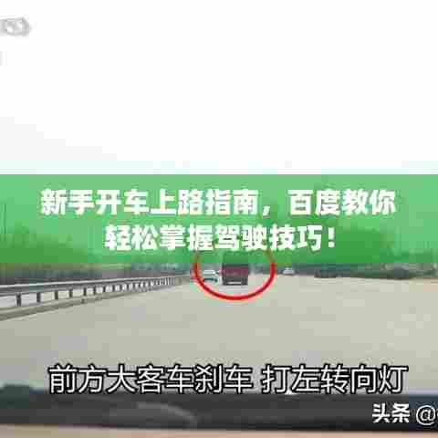 漫天飞舞 第5页