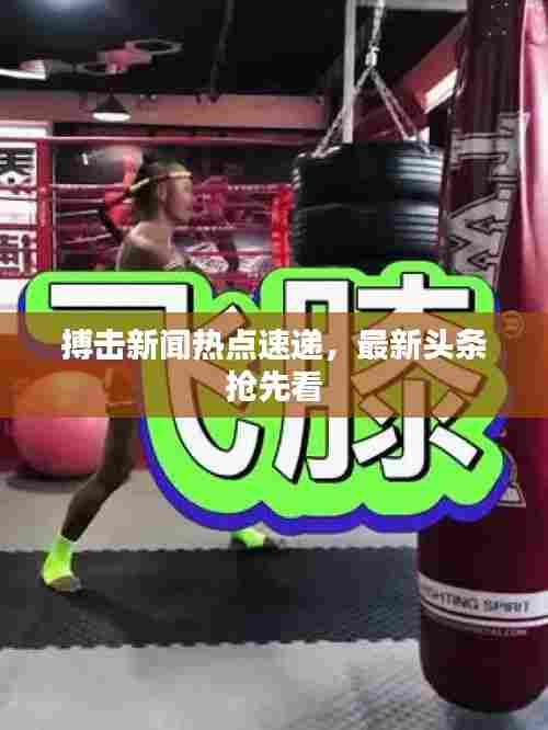 搏击新闻热点速递，最新头条抢先看