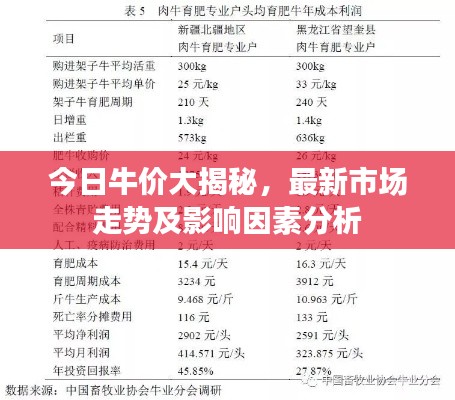今日牛价大揭秘，最新市场走势及影响因素分析
