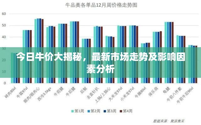 今日牛价大揭秘,最新市场走势及影响因素分析