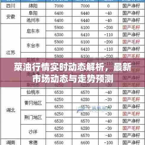 菜油行情实时动态解析,最新市场动态与走势预测