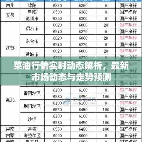 菜油行情实时动态解析,最新市场动态与走势预测