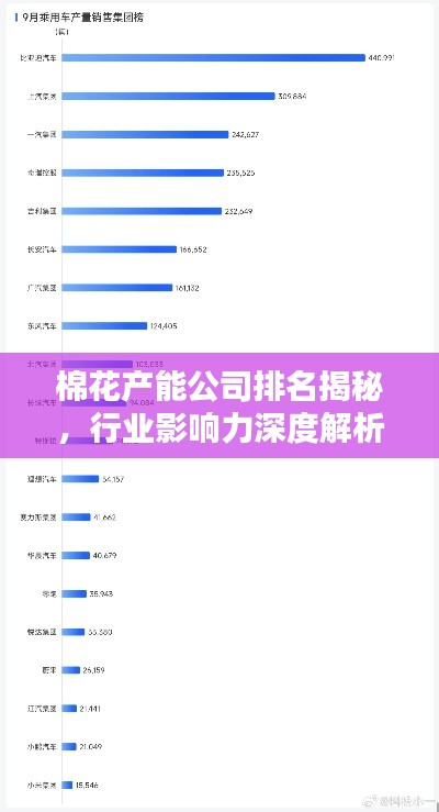 棉花产能公司排名揭秘，行业影响力深度解析