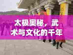 太极奥秘,武术与文化的千年融合之旅