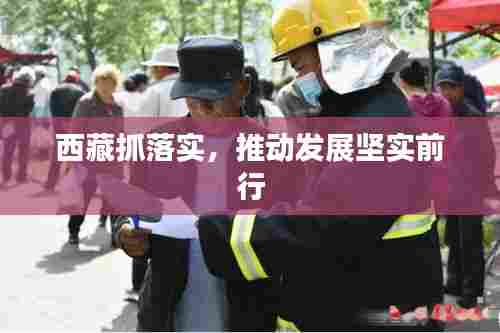 西藏抓落实，推动发展坚实前行