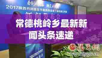 常德桃岭乡最新新闻头条速递