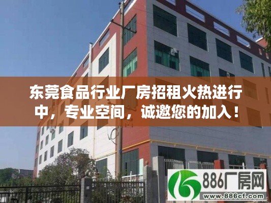 东莞食品行业厂房招租火热进行中，专业空间，诚邀您的加入！