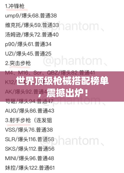 世界顶级枪械搭配榜单，震撼出炉！