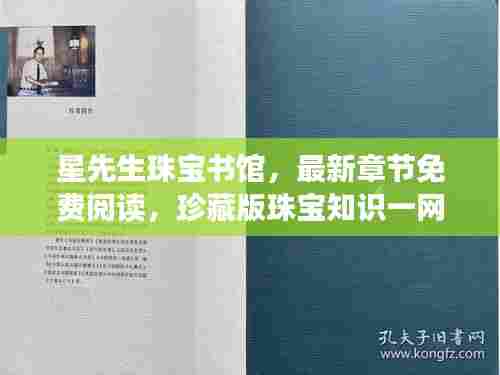 星先生珠宝书馆,最新章节免费阅读,珍藏版珠宝知识一网打尽