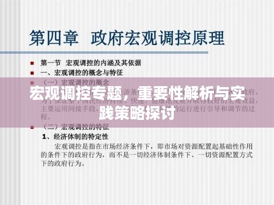 宏观调控专题，重要性解析与实践策略探讨