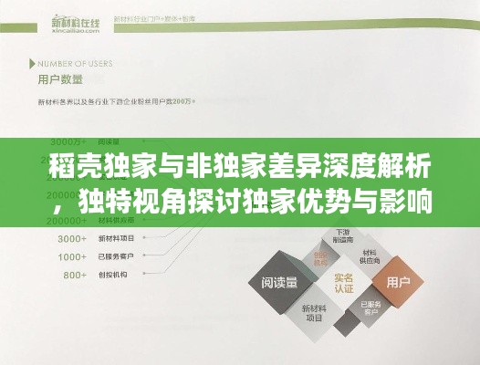 稻壳独家与非独家差异深度解析，独特视角探讨独家优势与影响