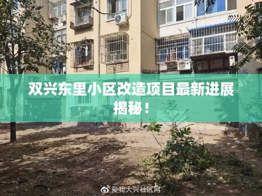 双兴东里小区改造项目最新进展揭秘!