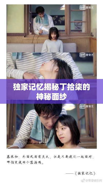 独家记忆揭秘丁拾柒的神秘面纱