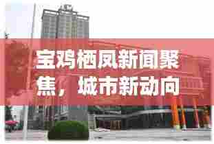 宝鸡栖凤新闻聚焦,城市新动向与发展亮点速览