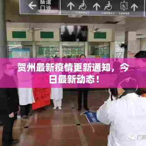 贺州最新疫情更新通知,今日最新动态!