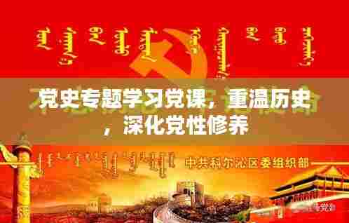 党史专题学习党课,重温历史,深化党性修养