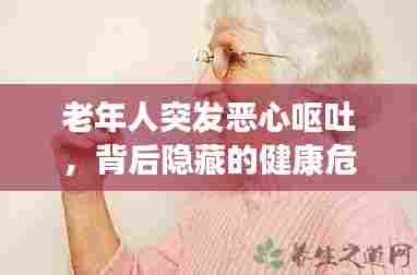 老年人突发恶心呕吐,背后隐藏的健康危机需警惕!