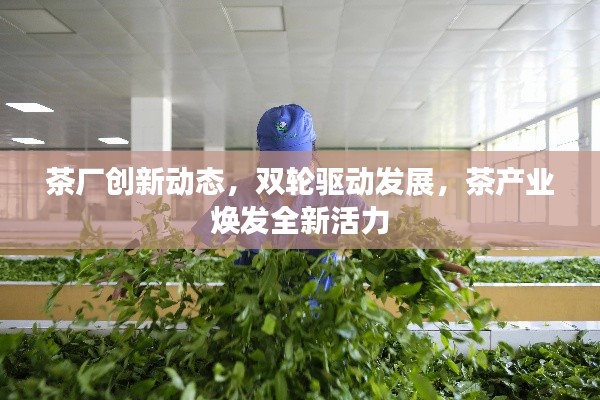 茶厂创新动态，双轮驱动发展，茶产业焕发全新活力