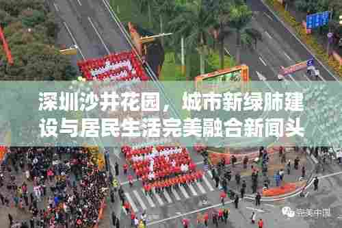 深圳沙井花园,城市新绿肺建设与居民生活完美融合新闻头条
