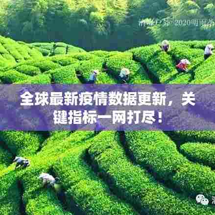 全球最新疫情数据更新,关键指标一网打尽!