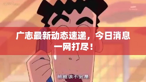 广志最新动态速递，今日消息一网打尽！