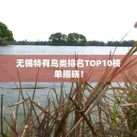 无锡特有鸟类排名TOP10榜单揭晓！