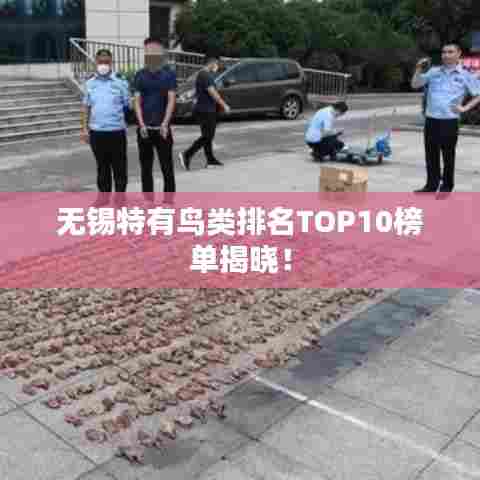 无锡特有鸟类排名TOP10榜单揭晓!