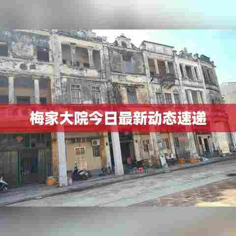 梅家大院今日最新动态速递