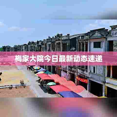 梅家大院今日最新动态速递