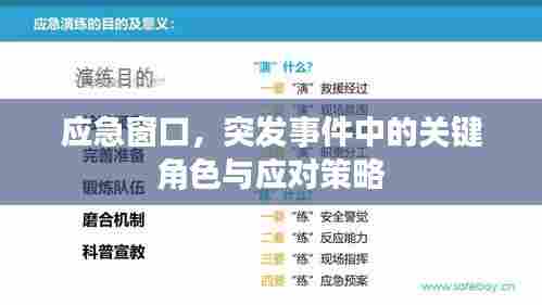 应急窗口,突发事件中的关键角色与应对策略