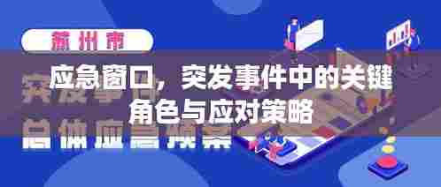 应急窗口,突发事件中的关键角色与应对策略