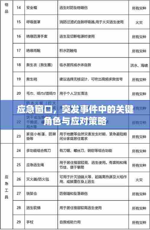 应急窗口,突发事件中的关键角色与应对策略