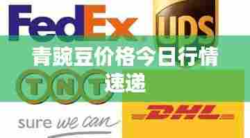 青豌豆价格今日行情速递