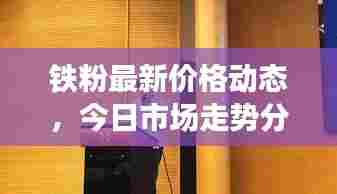 铁粉最新价格动态，今日市场走势分析与影响因素揭秘