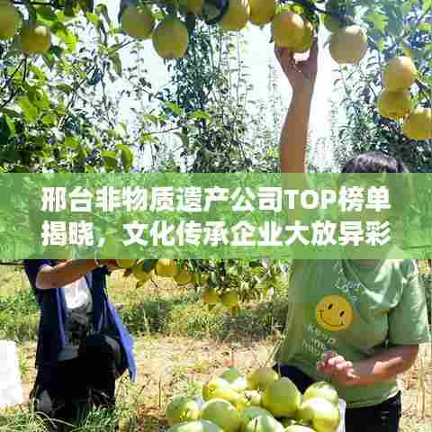 邢台非物质遗产公司TOP榜单揭晓，文化传承企业大放异彩