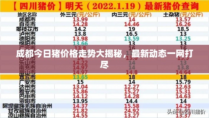 成都今日猪价格走势大揭秘，最新动态一网打尽