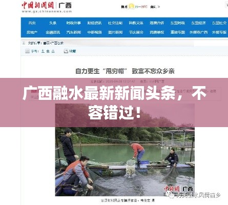 广西融水最新新闻头条，不容错过！