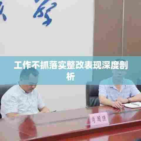 工作不抓落实整改表现深度剖析