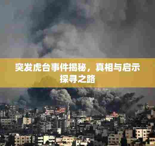 突发虎台事件揭秘，真相与启示探寻之路