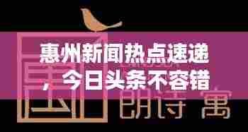 惠州新闻热点速递,今日头条不容错过