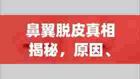 鼻翼脱皮真相揭秘，原因、对策与日常护理全解析