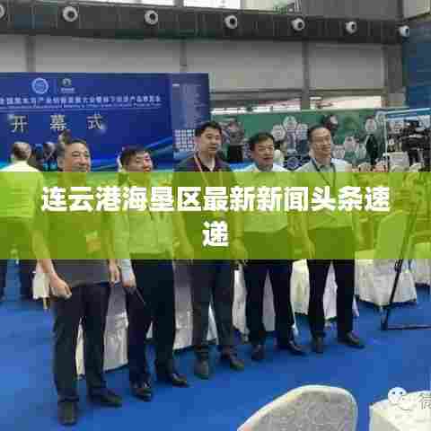 连云港海垦区最新新闻头条速递