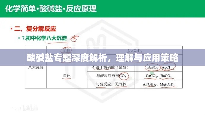 酸碱盐专题深度解析，理解与应用策略