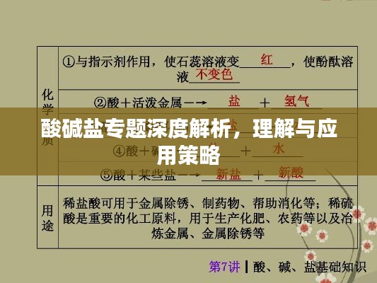 酸碱盐专题深度解析,理解与应用策略