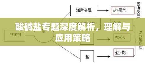酸碱盐专题深度解析,理解与应用策略