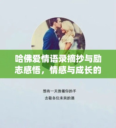 哈佛爱情语录摘抄与励志感悟,情感与成长的双重启迪