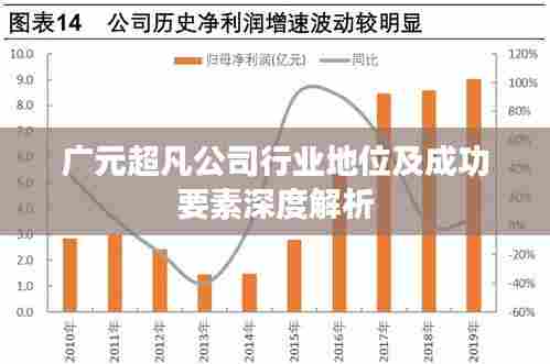 广元超凡公司行业地位及成功要素深度解析