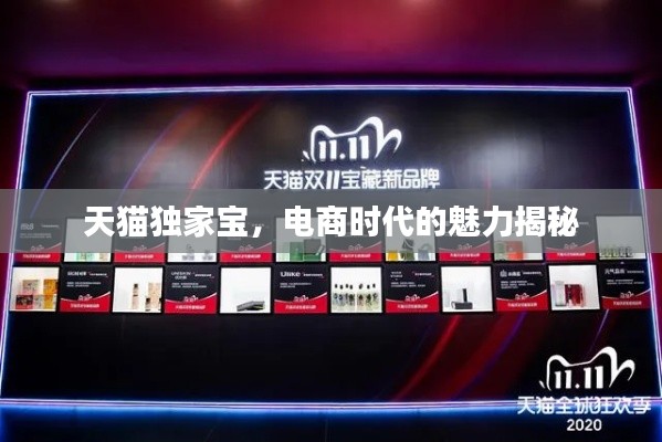天猫独家宝，电商时代的魅力揭秘