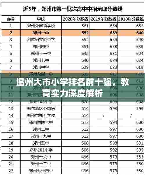 温州大市小学排名前十强，教育实力深度解析